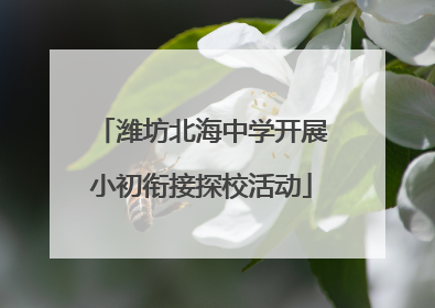 潍坊北海中学开展小初衔接探校活动