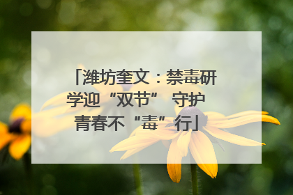 潍坊奎文：禁毒研学迎“双节” 守护青春不“毒”行