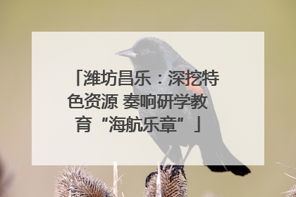 潍坊昌乐：深挖特色资源 奏响研学教育“海航乐章”