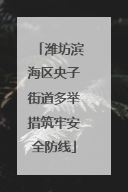 潍坊滨海区央子街道多举措筑牢安全防线