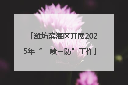 潍坊滨海区开展2025年“一喷三防”工作