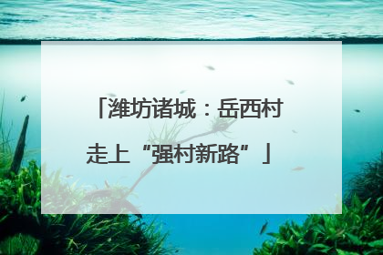 潍坊诸城：岳西村走上“强村新路”