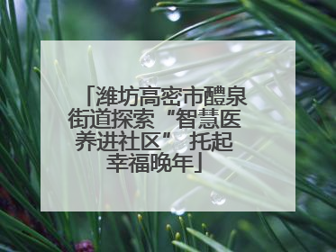 潍坊高密市醴泉街道探索“智慧医养进社区” 托起幸福晚年