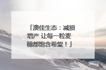 澳佳生态：减损增产 让每一粒麦穗都饱含希望！