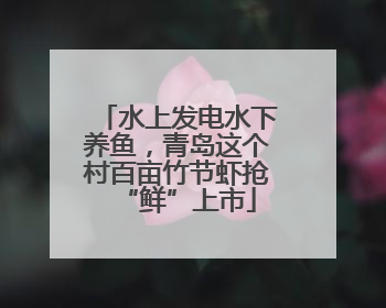 水上发电水下养鱼，青岛这个村百亩竹节虾抢“鲜”上市