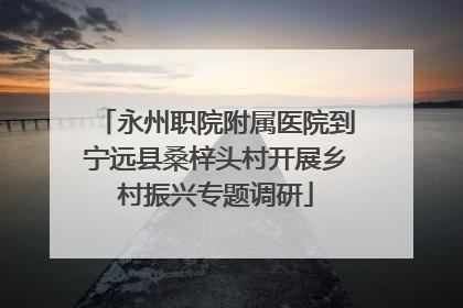 永州职院附属医院到宁远县桑梓头村开展乡村振兴专题调研