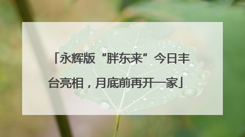 永辉版“胖东来”今日丰台亮相，月底前再开一家