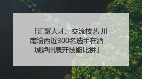 汇聚人才、交流技艺 川南渝西近300名选手在酒城泸州展开技能比拼