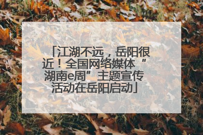 江湖不远，岳阳很近！全国网络媒体“湖南e周”主题宣传活动在岳阳启动