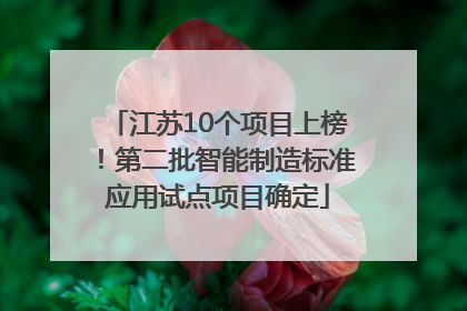 江苏10个项目上榜！第二批智能制造标准应用试点项目确定