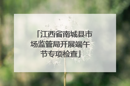 江西省南城县市场监管局开展端午节专项检查
