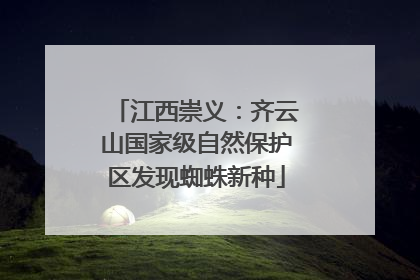 江西崇义：齐云山国家级自然保护区发现蜘蛛新种
