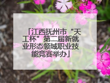 江西抚州市“天工杯”第二届新就业形态领域职业技能竞赛举办
