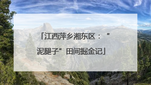 江西萍乡湘东区：“泥腿子”田间掘金记
