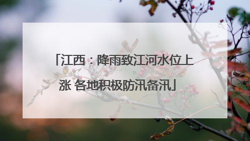 江西：降雨致江河水位上涨 各地积极防汛备汛