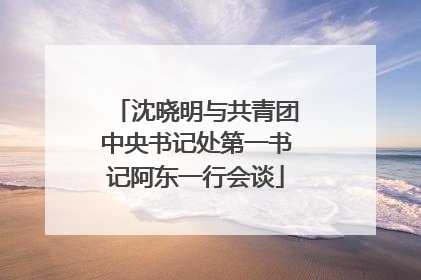 沈晓明与共青团中央书记处第一书记阿东一行会谈