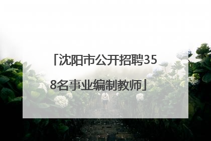 沈阳市公开招聘358名事业编制教师