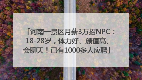 河南一景区月薪3万招NPC：18-28岁，体力好、颜值高、会聊天！已有1000多人应聘