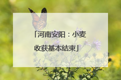 河南安阳：小麦收获基本结束