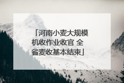 河南小麦大规模机收作业收官 全省麦收基本结束