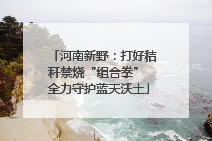 河南新野：打好秸秆禁烧“组合拳” 全力守护蓝天沃土