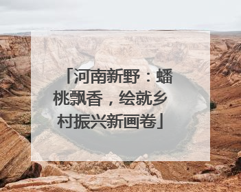 河南新野：蟠桃飘香，绘就乡村振兴新画卷