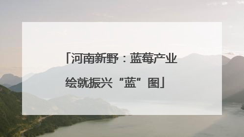 河南新野：蓝莓产业绘就振兴“蓝”图