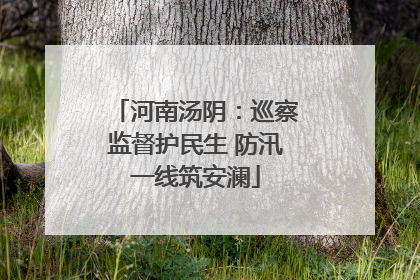 河南汤阴：巡察监督护民生 防汛一线筑安澜
