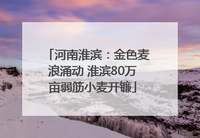 河南淮滨：金色麦浪涌动 淮滨80万亩弱筋小麦开镰
