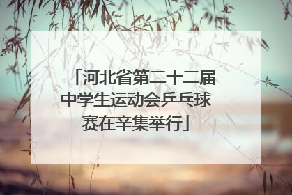 河北省第二十二届中学生运动会乒乓球赛在辛集举行