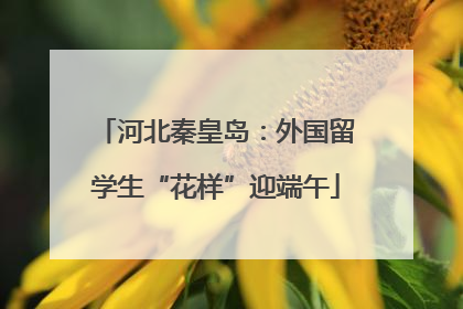 河北秦皇岛：外国留学生“花样”迎端午