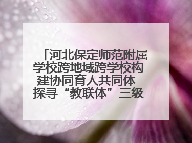 河北保定师范附属学校跨地域跨学校构建协同育人共同体 探寻“教联体”三级进阶之路
