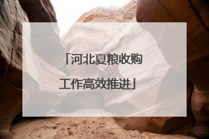 河北夏粮收购工作高效推进