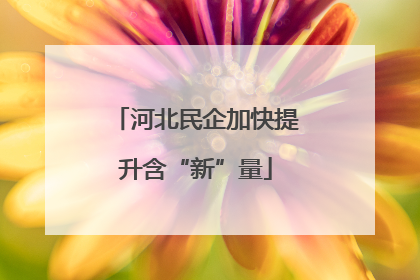 河北民企加快提升含“新”量