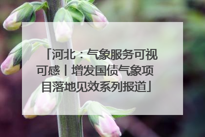 河北：气象服务可视可感丨增发国债气象项目落地见效系列报道