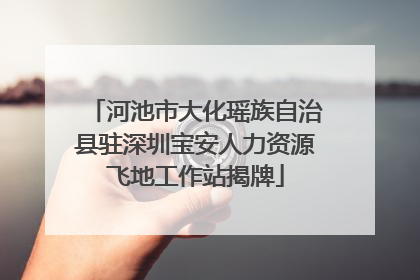 河池市大化瑶族自治县驻深圳宝安人力资源飞地工作站揭牌