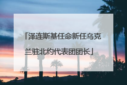 泽连斯基任命新任乌克兰驻北约代表团团长