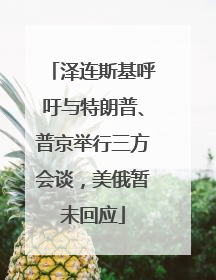 泽连斯基呼吁与特朗普、普京举行三方会谈，美俄暂未回应