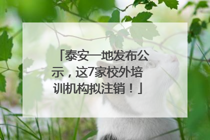 泰安一地发布公示，这7家校外培训机构拟注销！