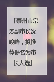 泰州市常务副市长沈峻峰，拟推荐提名为市长人选
