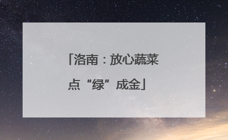 洛南：放心蔬菜点“绿”成金