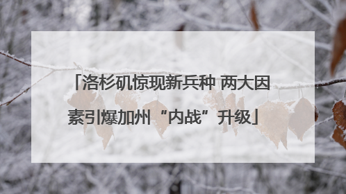 洛杉矶惊现新兵种 两大因素引爆加州“内战”升级