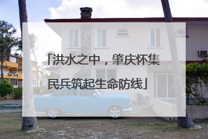 洪水之中，肇庆怀集民兵筑起生命防线