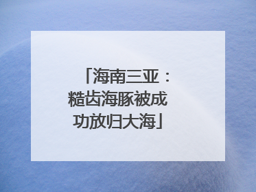 海南三亚：糙齿海豚被成功放归大海