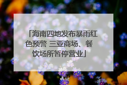 海南四地发布暴雨红色预警 三亚商场、餐饮场所暂停营业
