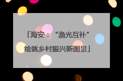 海安：“渔光互补” 绘就乡村振兴新图景