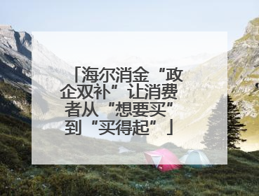 海尔消金“政企双补”让消费者从“想要买”到“买得起”