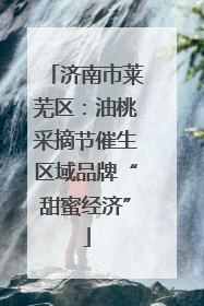 济南市莱芜区：油桃采摘节催生区域品牌“甜蜜经济”