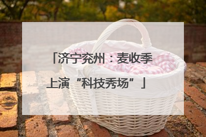济宁兖州：麦收季上演“科技秀场”