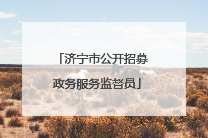 济宁市公开招募政务服务监督员